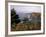 Cliffs, Maine, USA-Jerry & Marcy Monkman-Framed Photographic Print