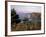 Cliffs, Maine, USA-Jerry & Marcy Monkman-Framed Photographic Print