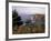 Cliffs, Maine, USA-Jerry & Marcy Monkman-Framed Photographic Print