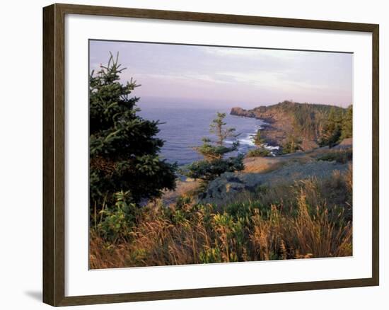 Cliffs, Maine, USA-Jerry & Marcy Monkman-Framed Photographic Print