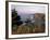 Cliffs, Maine, USA-Jerry & Marcy Monkman-Framed Photographic Print