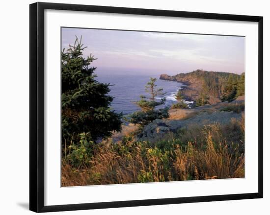 Cliffs, Maine, USA-Jerry & Marcy Monkman-Framed Photographic Print