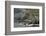 Cliffs Near Ashleam, Achill Island, County Mayo, Connacht, Republic of Ireland-Gary Cook-Framed Photographic Print