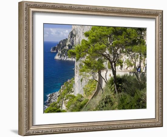 Cliffs Near Capri Town, Capri Island, Bay of Naples, Campania, Italy, Europe-Richard Cummins-Framed Photographic Print