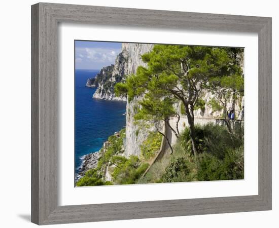 Cliffs Near Capri Town, Capri Island, Bay of Naples, Campania, Italy, Europe-Richard Cummins-Framed Photographic Print