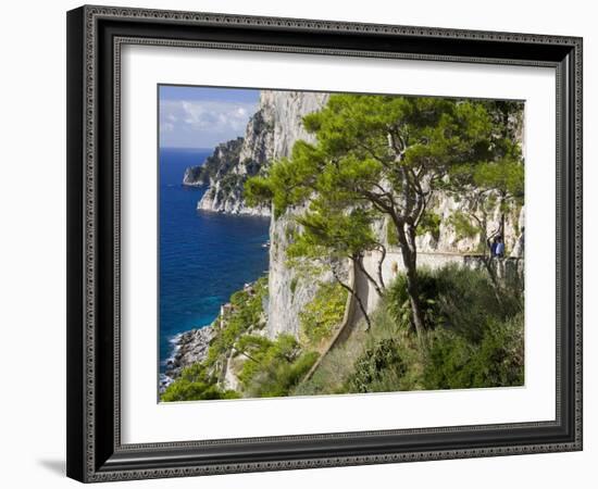 Cliffs Near Capri Town, Capri Island, Bay of Naples, Campania, Italy, Europe-Richard Cummins-Framed Photographic Print