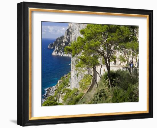 Cliffs Near Capri Town, Capri Island, Bay of Naples, Campania, Italy, Europe-Richard Cummins-Framed Photographic Print