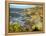 Cliffs Near Findhorn on the Morayfirth, Scotland, United Kingdom, Europe-David Lomax-Framed Premier Image Canvas