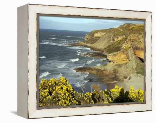 Cliffs Near Findhorn on the Morayfirth, Scotland, United Kingdom, Europe-David Lomax-Framed Premier Image Canvas