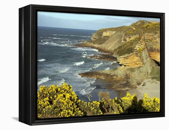 Cliffs Near Findhorn on the Morayfirth, Scotland, United Kingdom, Europe-David Lomax-Framed Premier Image Canvas