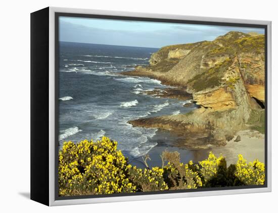 Cliffs Near Findhorn on the Morayfirth, Scotland, United Kingdom, Europe-David Lomax-Framed Premier Image Canvas