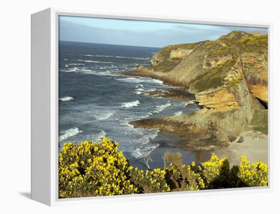 Cliffs Near Findhorn on the Morayfirth, Scotland, United Kingdom, Europe-David Lomax-Framed Premier Image Canvas