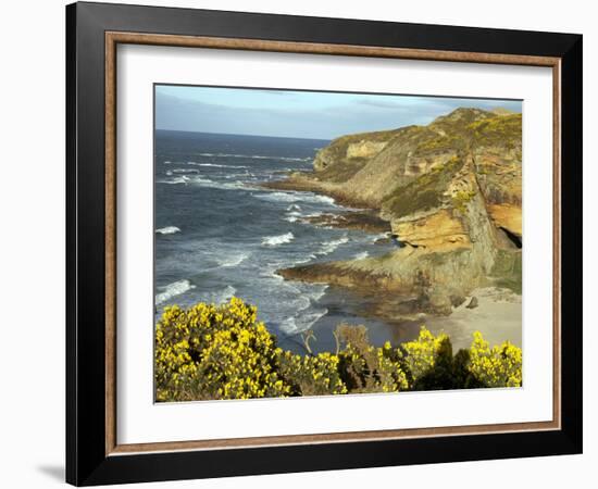 Cliffs Near Findhorn on the Morayfirth, Scotland, United Kingdom, Europe-David Lomax-Framed Photographic Print