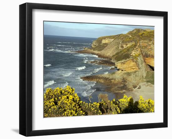 Cliffs Near Findhorn on the Morayfirth, Scotland, United Kingdom, Europe-David Lomax-Framed Photographic Print