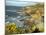 Cliffs Near Findhorn on the Morayfirth, Scotland, United Kingdom, Europe-David Lomax-Mounted Photographic Print