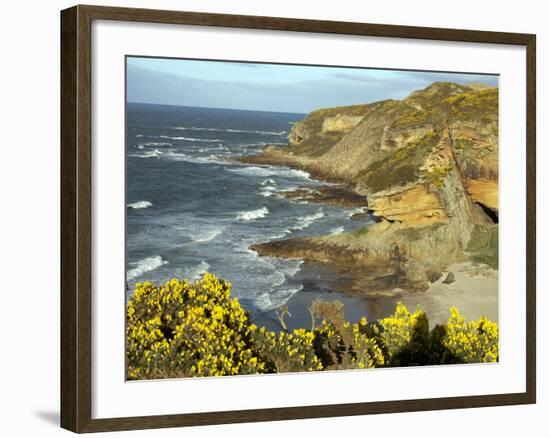 Cliffs Near Findhorn on the Morayfirth, Scotland, United Kingdom, Europe-David Lomax-Framed Photographic Print