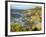 Cliffs Near Findhorn on the Morayfirth, Scotland, United Kingdom, Europe-David Lomax-Framed Photographic Print