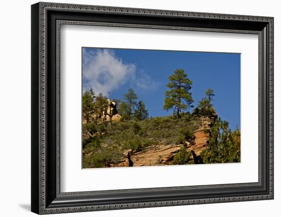 Cliffs, Oak Creek Canyon, West Fork, Coconino Nf, Sedona, Arizona, USA-Michel Hersen-Framed Photographic Print