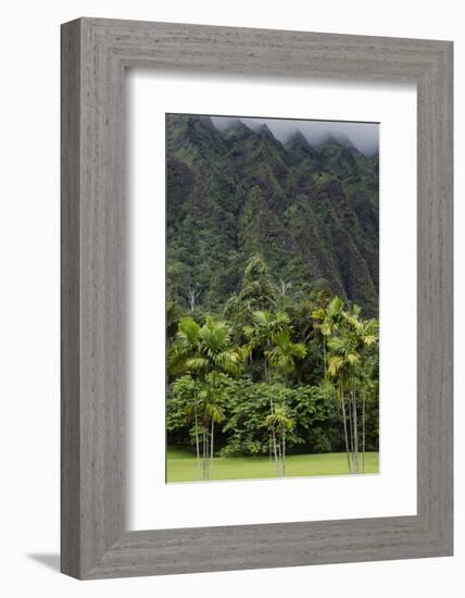 Cliffs of Koolau Mountains Above Palm Trees, Oahu, Hawaii, USA-Charles Crust-Framed Photographic Print