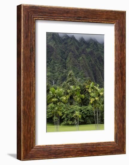 Cliffs of Koolau Mountains Above Palm Trees, Oahu, Hawaii, USA-Charles Crust-Framed Photographic Print
