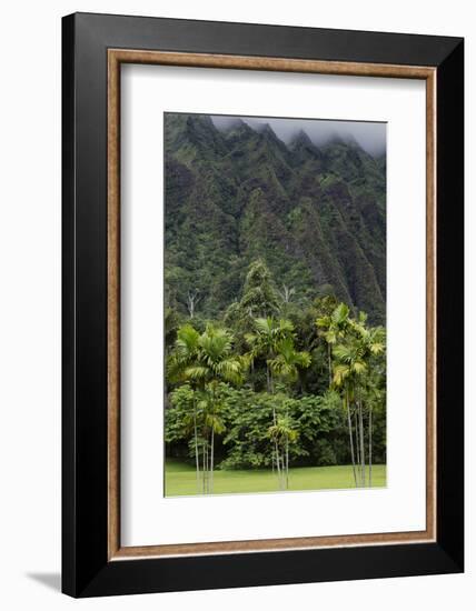 Cliffs of Koolau Mountains Above Palm Trees, Oahu, Hawaii, USA-Charles Crust-Framed Photographic Print