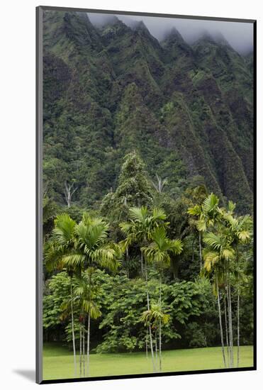 Cliffs of Koolau Mountains Above Palm Trees, Oahu, Hawaii, USA-Charles Crust-Mounted Photographic Print