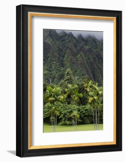 Cliffs of Koolau Mountains Above Palm Trees, Oahu, Hawaii, USA-Charles Crust-Framed Photographic Print