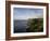 Cliffs of Moher, County Clare, Munster, Republic of Ireland, Europe-Oliviero Olivieri-Framed Photographic Print