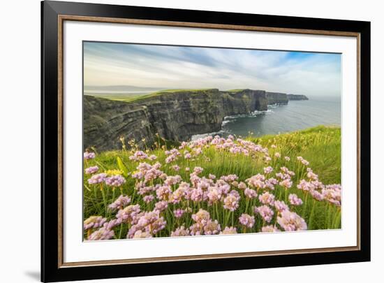 Cliffs of Moher with flowers on the foreground. Liscannor, Munster, Co.Clare, Ireland, Europe.-ClickAlps-Framed Photographic Print