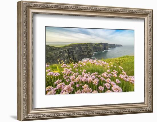 Cliffs of Moher with flowers on the foreground. Liscannor, Munster, Co.Clare, Ireland, Europe.-ClickAlps-Framed Photographic Print