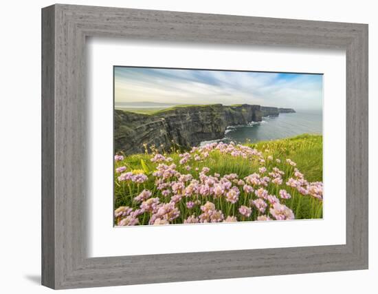 Cliffs of Moher with flowers on the foreground. Liscannor, Munster, Co.Clare, Ireland, Europe.-ClickAlps-Framed Photographic Print