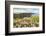 Cliffs of Moher with flowers on the foreground. Liscannor, Munster, Co.Clare, Ireland, Europe.-ClickAlps-Framed Photographic Print