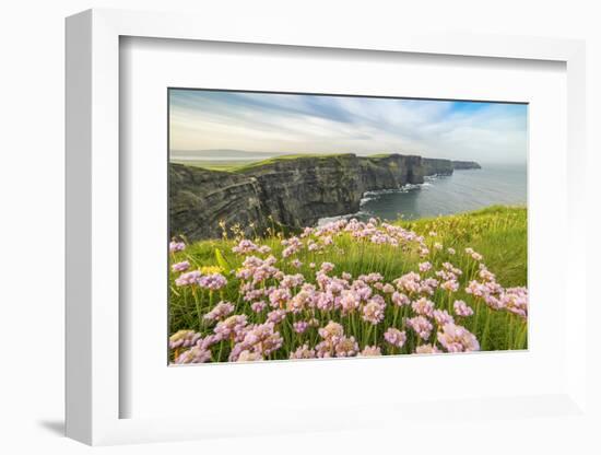 Cliffs of Moher with flowers on the foreground. Liscannor, Munster, Co.Clare, Ireland, Europe.-ClickAlps-Framed Photographic Print