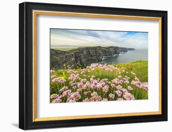 Cliffs of Moher with flowers on the foreground. Liscannor, Munster, Co.Clare, Ireland, Europe.-ClickAlps-Framed Photographic Print