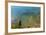 Cliffs of Talamone, Grosseto Province, Maremma, Tuscany, Italy-Nico Tondini-Framed Photographic Print