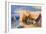 Cliffs on the North East Side of Point Lorenzo, Madeira-John Sell Cotman-Framed Giclee Print