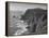 Cliffs Overlooking Drake's Bay-Nat Farbman-Framed Premier Image Canvas