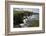 Cliffs Showing Rock Striations and Geological Folding, Pettico Wick, Berwickshire, Scotland, UK-Linda Pitkin-Framed Photographic Print