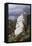 Cliffside Partners-Trevor V. Swanson-Framed Premier Image Canvas