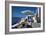 Cliffside View-Larry Malvin-Framed Photographic Print