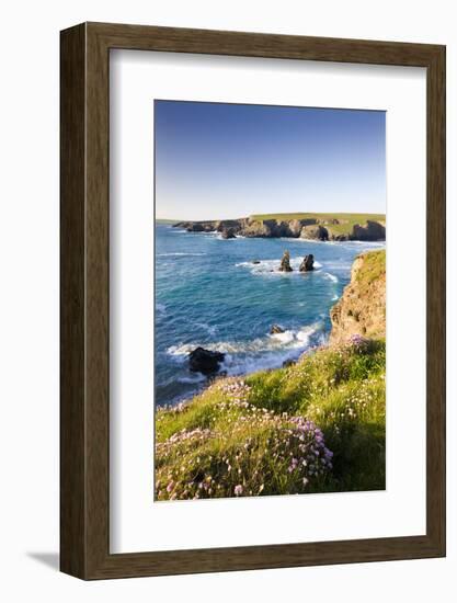 Clifftop View of Porthcothan Bay with Spring Wildflowers, Cornwall, England. Spring-Adam Burton-Framed Photographic Print