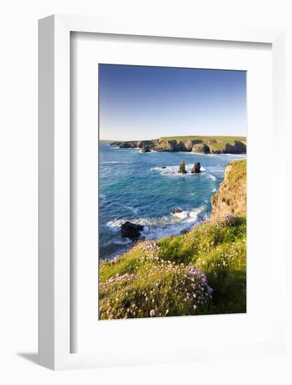 Clifftop View of Porthcothan Bay with Spring Wildflowers, Cornwall, England. Spring-Adam Burton-Framed Photographic Print