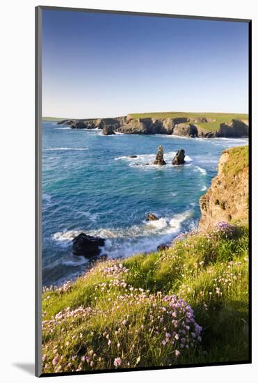 Clifftop View of Porthcothan Bay with Spring Wildflowers, Cornwall, England. Spring-Adam Burton-Mounted Photographic Print