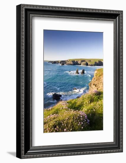 Clifftop View of Porthcothan Bay with Spring Wildflowers, Cornwall, England. Spring-Adam Burton-Framed Photographic Print