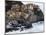 Clifftop Village of Manarola, Cinque Terre, UNESCO World Heritage Site, Liguria, Italy, Europe-Christian Kober-Mounted Photographic Print