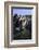 Clifftop Village of Riomaggiore, Cinque Terre, UNESCO World Heritage Site, Liguria, Italy, Europe-Gavin Hellier-Framed Photographic Print