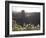 Clifton Suspension Bridge, Bristol, England, United Kingdom-Charles Bowman-Framed Photographic Print