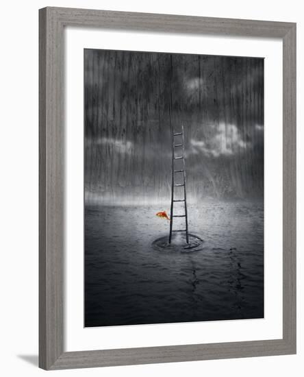 Climb Up-ValentinaPhotos-Framed Art Print