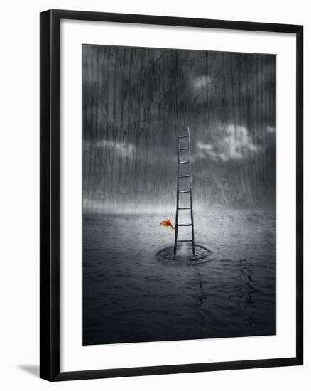 Climb Up-ValentinaPhotos-Framed Art Print