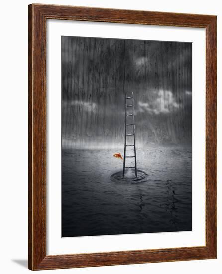 Climb Up-ValentinaPhotos-Framed Art Print